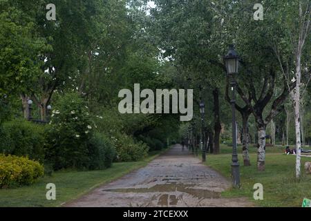 Parc public à Barcelone après une pluie. Le sol est humide et il n'y a personne. Plantes vertes luxuriantes et palmiers méditerranéens Banque D'Images