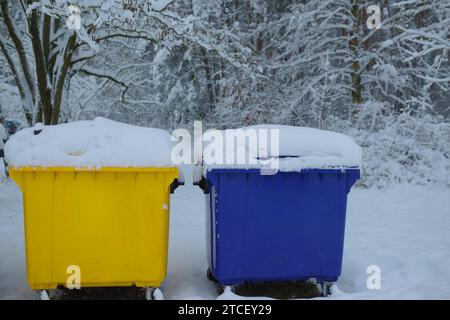 Deux bennes solitaires dans la neige Banque D'Images