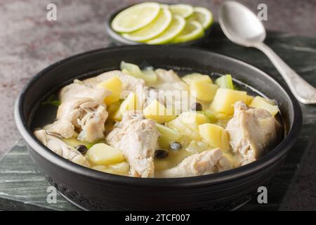 Ragoût bahamien avec ailes de poulet, pommes de terre, céleri, citron vert et épices dans un bouillon clair gros plan dans une assiette sur la table. Horizontal Banque D'Images