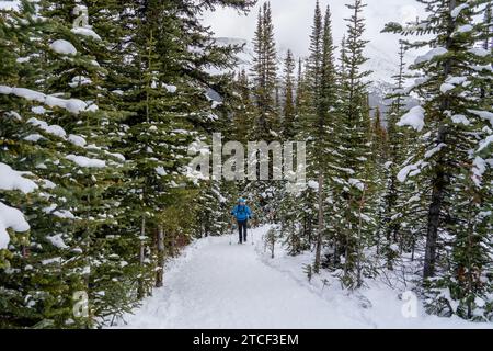 Randonneur marchant sur le sentier du sommet Bow jusqu'au point de vue du lac Peyto en hiver Banque D'Images