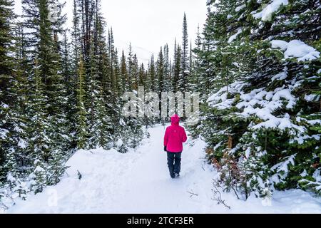 Randonneur marchant sur le sentier du sommet Bow jusqu'au point de vue du lac Peyto en hiver Banque D'Images