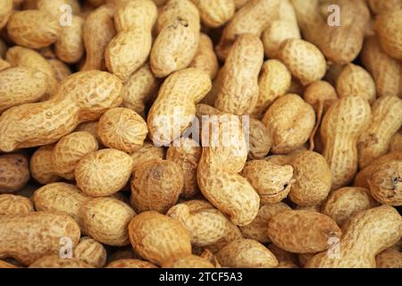 Pile d'arachides séchées à vendre dans le marché local ou souk de Manama, Bahreïn Banque D'Images