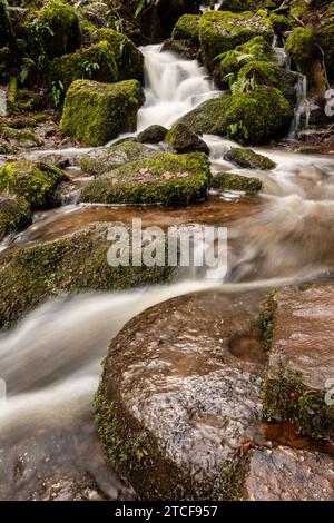 Cleddon Shoots ou Waterfall, Wye Valley AONB, Monmouthshire, pays de Galles Banque D'Images