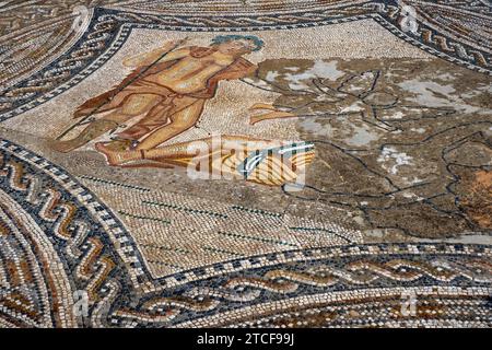 Mosaïque romaine de Bacchus dans la Maison du Chevalier à Volubilis, ville berbère-romaine excavée de l'ancienne Mauretanie près de Meknès, Fès-Meknès, Maroc Banque D'Images