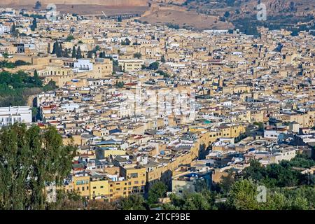 Vue aérienne sur la médina jaune de la ville de Fès / Fès, Fès-Meknès, Maroc Banque D'Images