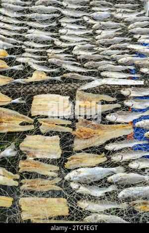 Poisson séchant au soleil à Penang, Malaisie Banque D'Images