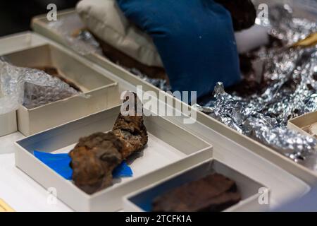 Fossiles réparés dans un laboratoire de paléontologie, reconstruisant des os de dinosaures pour la science au Smithsonian National Museum of Natural History Banque D'Images