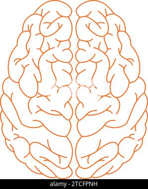 Contour isolé d'un vecteur d'icône de cerveau Illustration de Vecteur