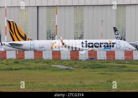 Der Airbus A320-271N A21N der Fluglinie Tigerair Taiwan mit der Registrierung D-AUBL MSN : 11517 sowie der zukünftige Registrierung B-50027 parkt am Flughafen Hamburg Finkenwerder EDHI/XFW. Hamburg Hamburg Deutschland *** l'Airbus A320 271N A21N de la compagnie Tigerair Taiwan immatriculé D AUBL MSN 11517 et immatriculé B 50027 est stationné à Hambourg Finkenwerder Airport EDHI XFW Hamburg Hamburg Allemagne Banque D'Images