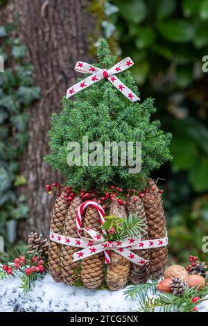 décoration de noël avec picea glauca et cônes de sapin Banque D'Images