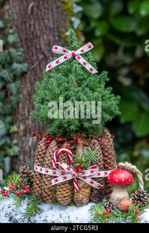 décoration de noël avec picea glauca, cônes de sapin et agaric de mouche en bois Banque D'Images