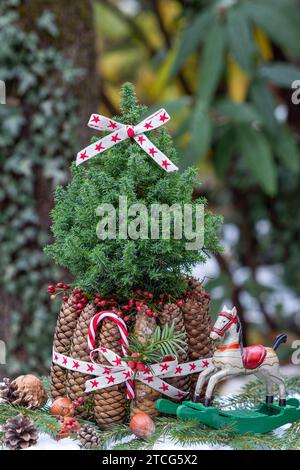 arrangement de noël avec picea glauca, cônes de sapin et cheval à bascule Banque D'Images