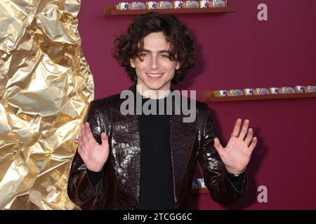 Timothee Chalamet 12/10/2023 première de “Wonka” à Los Angeles au Regency Village Theatre à Los Angeles, CA photo par Izumi Hasegawa / Hollywood News Wire Inc. Banque D'Images