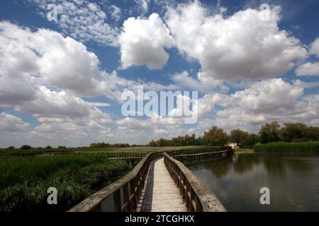 Madrid 06-06-2008 situation de sécheresse dans le parc national des Tablas de Daimiel dans la province de Ciudad Real photo Jaime García. Crédit : Album / Archivo ABC / Jaime García Banque D'Images