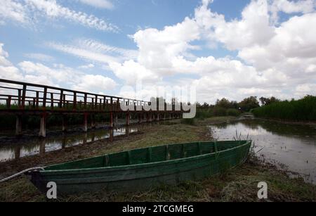 Madrid 06-06-2008 situation de sécheresse dans le parc national des Tablas de Daimiel dans la province de Ciudad Real photo Jaime García. Crédit : Album / Archivo ABC / Jaime García Banque D'Images