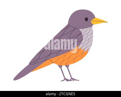 couleur grise et orange petit oiseau rufous bellied muguet espèce jolie nature animal faune créature Illustration de Vecteur