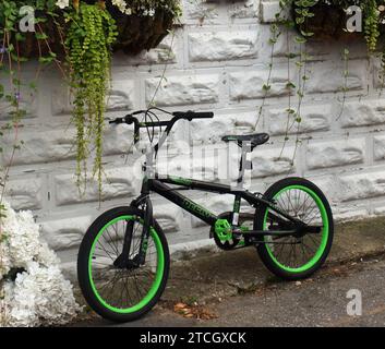 Vélo vert dans Charlevoix Michigan appuyé sur le mur blanc Banque D'Images