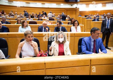 Madrid, 06/07/2022. Séance de contrôle pour le président Pedro Sánchez au Sénat et avec la première intervention du président du Parti populaire, Alberto Núñez Feijóo. Photo : Ángel de Antonio. ARCHDC. Crédit : Album / Archivo ABC / Ángel de Antonio Banque D'Images