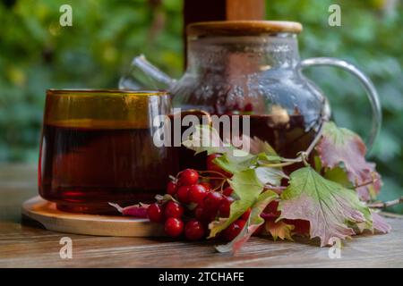 Guelder rose Viburnum baies rouges thé sain dans une tasse en verre avec théière sur la table de jardin. Phytothérapie délicieux thé tisane avec tasse de thé de fleurs de pissenlit jaune frais. Infusion de clarification verte Wildflowers Eco friendly alimentation durable Banque D'Images