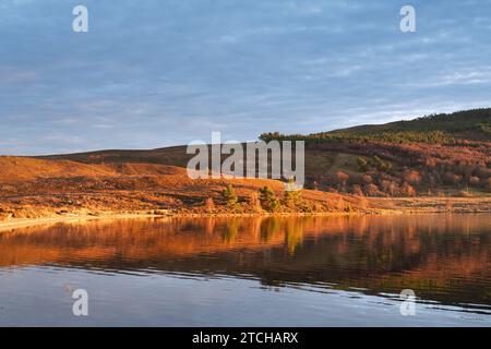 Lumière dorée du coucher de soleil autour de Lochindorb à la fin de l'automne. Highlands, Écosse Banque D'Images