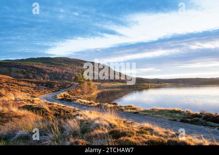 Lumière dorée du coucher de soleil autour de Lochindorb à la fin de l'automne. Highlands, Écosse Banque D'Images