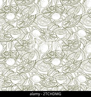 Modèle d'été élégant avec branche de citron, fleurs de citron. Fond avec des agrumes, illustration vectorielle dans le style graphique, imprimer. Convient pour pack Illustration de Vecteur