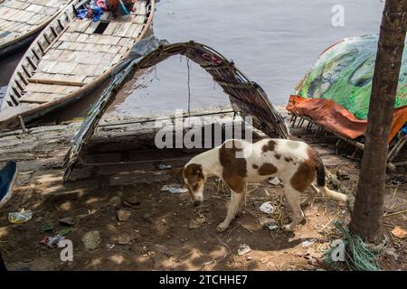 Mode de vie quotidien des riverains du Bangladesh. Cette image a été prise à Dhaka, au Bangladesh, le 30 juillet 2022. Banque D'Images