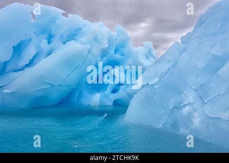 Gros plan d'un iceberg dans l'océan Austral, Antarctique. Banque D'Images