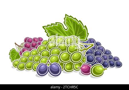 Logo vectoriel pour raisins, affiche horizontale décorative avec illustration de contour de composition de grappes de raisins assorties mûres, dessin animé imprimé fruité Illustration de Vecteur