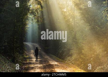 Fille dans les rayons du soleil marchant avec le chien beagle en laisse dans le chemin forestier Banque D'Images