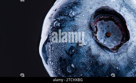 Une myrtille recouverte de gouttes d'eau isolées sur fond noir. Prise de vue macro très détaillée avec espace de copie sur la gauche Banque D'Images