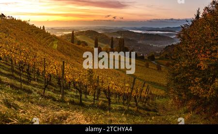 Vue d'automne depuis la route Styrian du Sud en Autriche sur les collines en Slovénie pendant le lever du soleil. Automne au thème Vineyard Banque D'Images