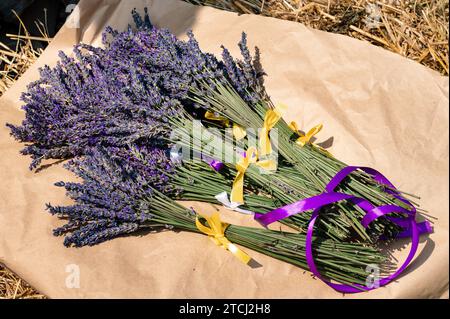 Des bouquets de lavande avec des rubans violets et jaunes reposent sur du papier kraft Banque D'Images