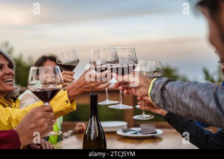 Des amis d'âges variés partagent un moment de joie, levant leurs verres dans un toast. Le soleil couchant et leurs sourires soulignent un atmos chaleureux et convivial Banque D'Images