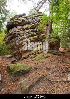 Dippoldiswalder Heide, Einsiedlerstein Banque D'Images