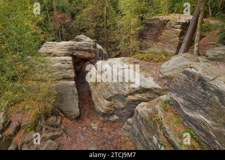 Dippoldiswalder Heide, Einsiedlerstein Banque D'Images