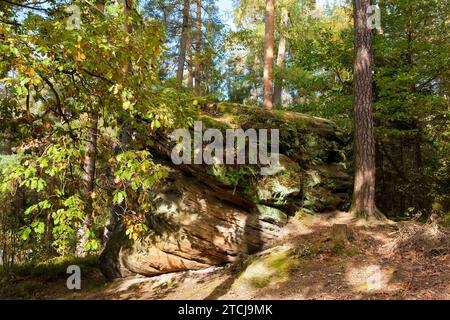 Dippoldiswalder Heide, Einsiedlerstein Banque D'Images