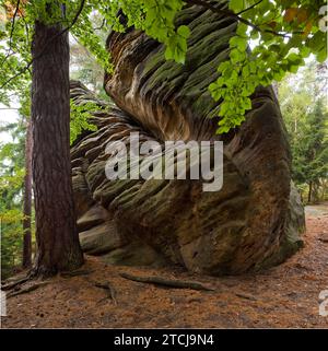 Dippoldiswalder Heide, Einsiedlerstein Banque D'Images