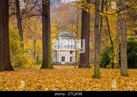 Jardin anglais du parc du palais de Pillnitz Banque D'Images