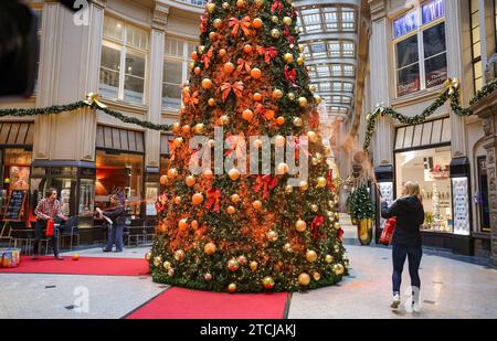 Leipzig, Allemagne. 13 décembre 2023. Des membres du groupe de protestation "dernière génération" peignent un sapin de Noël dans le passage Mädler de Leipzig. L'action a eu lieu simultanément dans plusieurs villes. Crédit : Jan Woitas/dpa/Alamy Live News Banque D'Images