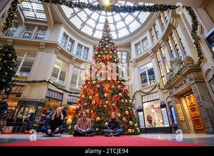 Leipzig, Allemagne. 13 décembre 2023. Des membres du groupe de protestation "dernière génération" sont assis devant un sapin de Noël recouvert de peinture dans le passage Mädler de Leipzig. L'action a eu lieu simultanément dans plusieurs villes. Crédit : Jan Woitas/dpa/Alamy Live News Banque D'Images