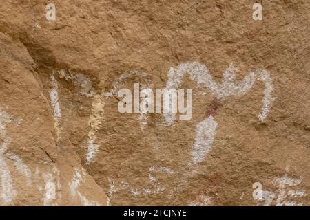 Pictogrammes préhispaniques au site d'interprétation White Birds dans le district historique national de Canyon Pintado au Colorado. Améri pré-hispanique Banque D'Images