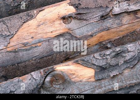 Vieille surface rugueuse en bois avec beaucoup de dommages dans la structure en bois comme vue de fond diagonale gros plan Banque D'Images