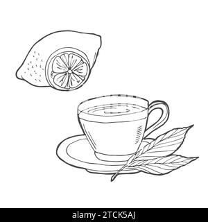 Croquis de thé dessiné à la main. Tasse de thé avec menthe et citron vert, citron isolé sur blanc.Doodle Outline. Illustration de Vecteur