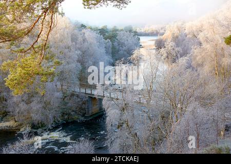 Glen Affric Cannich Écosse tôt le matin d'hiver soleil avec une brume dense sur le pont de la rivière et des bouleaux couverts de gel Banque D'Images