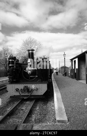 « Prince of Wales » à la gare de Capel Bangor avec un train mixte. Banque D'Images