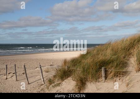 Dunes et plage à la mer du Nord sur l'île de Texel. Banque D'Images
