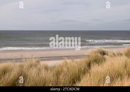 La plage sur l'île néerlandaise de Texel. Banque D'Images