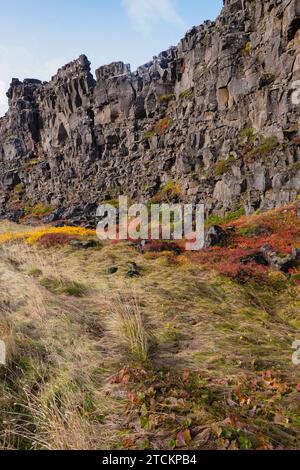 Islande, cercle d'Or, Parc National de Thingvellir aux couleurs de l'automne. Le rift médio-atlantique entre les plaques tectoniques nord-américaine et eurasienne. Gorge d'Almannagja marquant le bord de la plaque tectonique nord-américaine. Banque D'Images