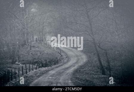 Route sombre sinueuse, effet grungy et effrayante pour le thème d'Halloween, réglage de brouillard pour l'effet effrayant. Banque D'Images